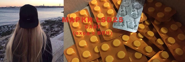бошки Бронницы