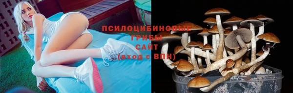 бошки Бронницы