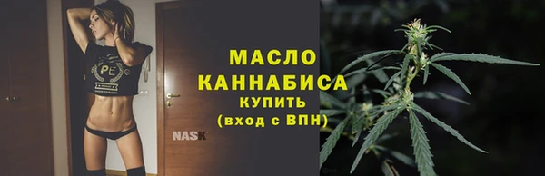 сатива Ростов