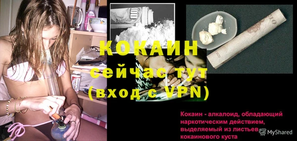 сатива Ростов
